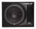 Rockford Fosgate P1-1X10